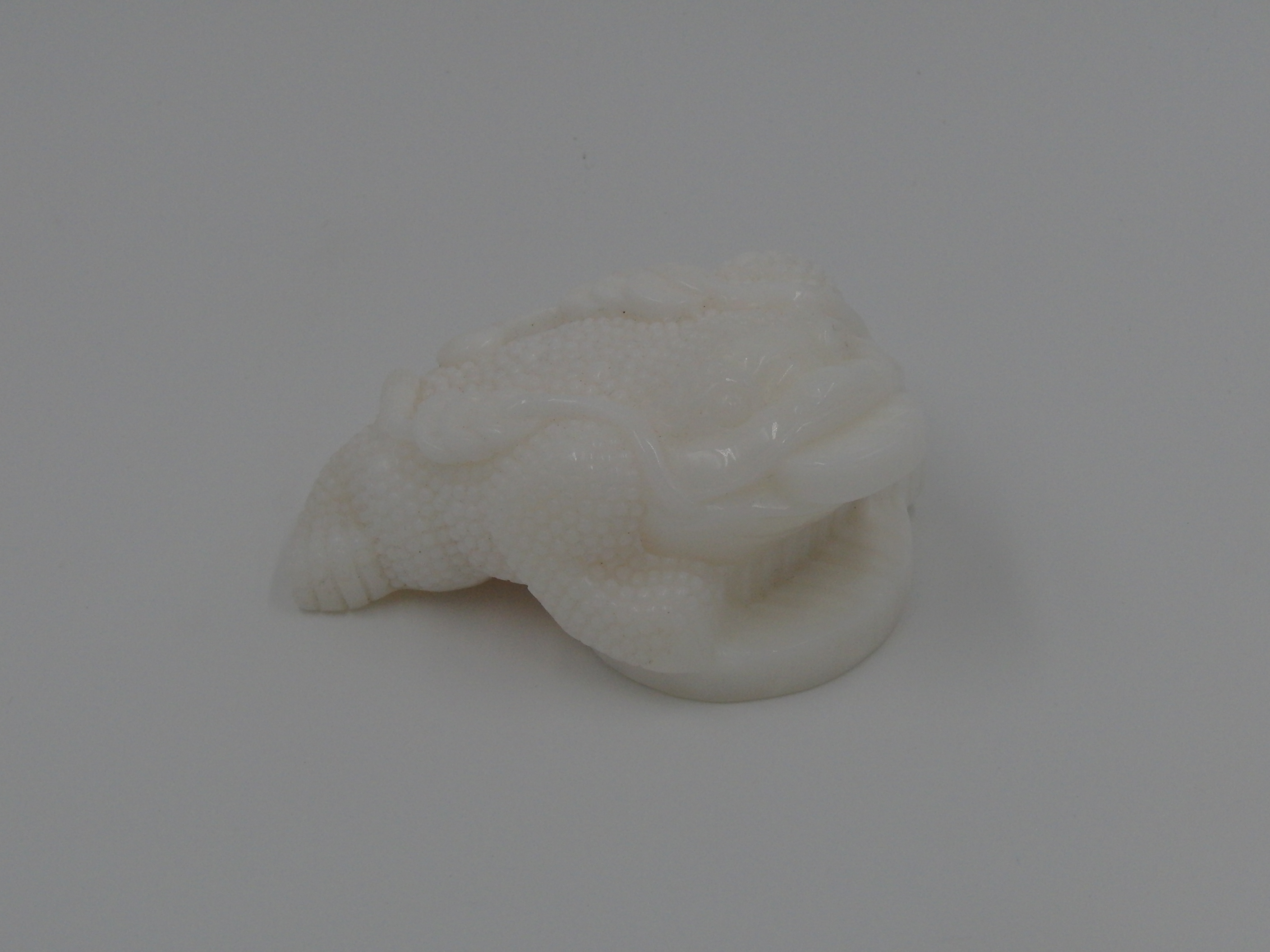 Natural Tridacna Golden Fortune Money Toad/Frog with Coin Feng Shui Charm 砗磲金蟾