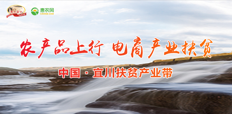 山东 · 泗水特产馆